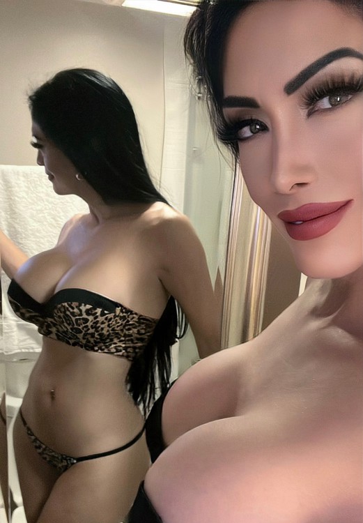 Penelope - Sidebar Profile