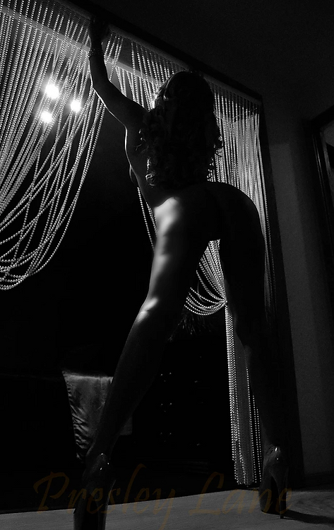 Presley Lane - Photo 5